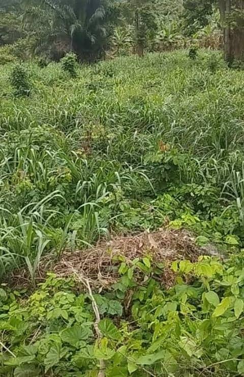 Residenceial plot for sale