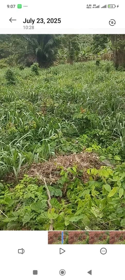 Residenceial plot for sale