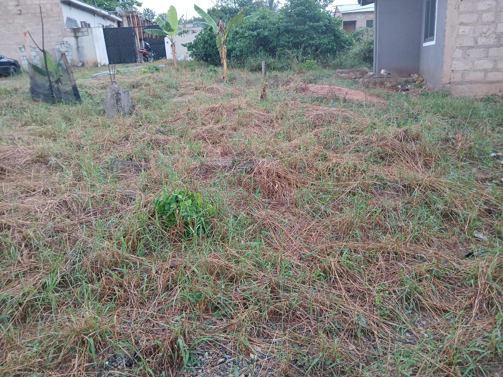 1/2 PLOT OF LAND FOR SALE