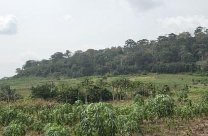 2 AcresFarmland For Sale