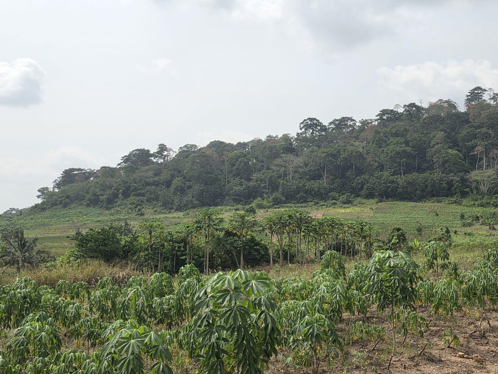 2 AcresFarmland For Sale