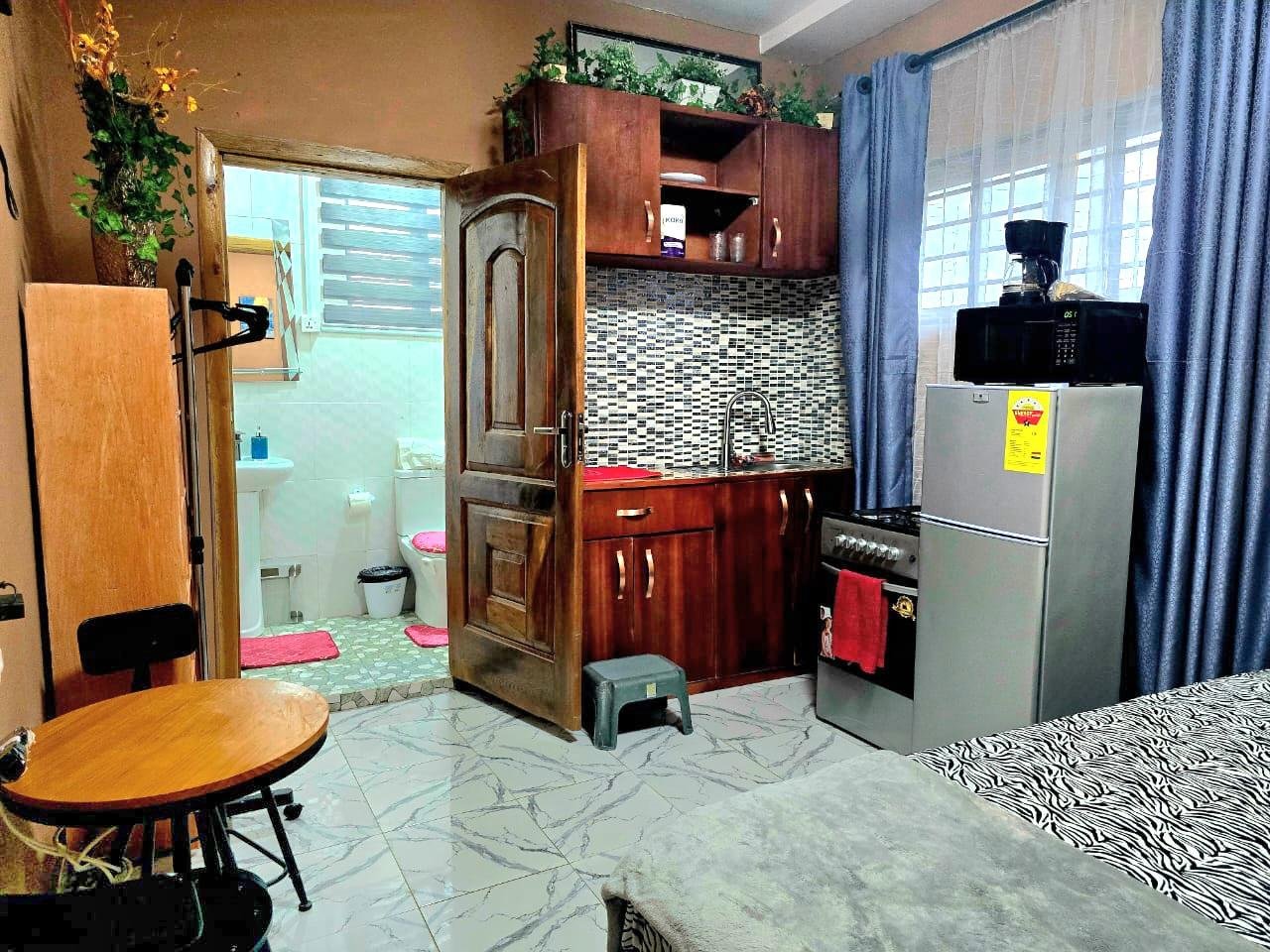 Fully furnished Luxury studio apartment