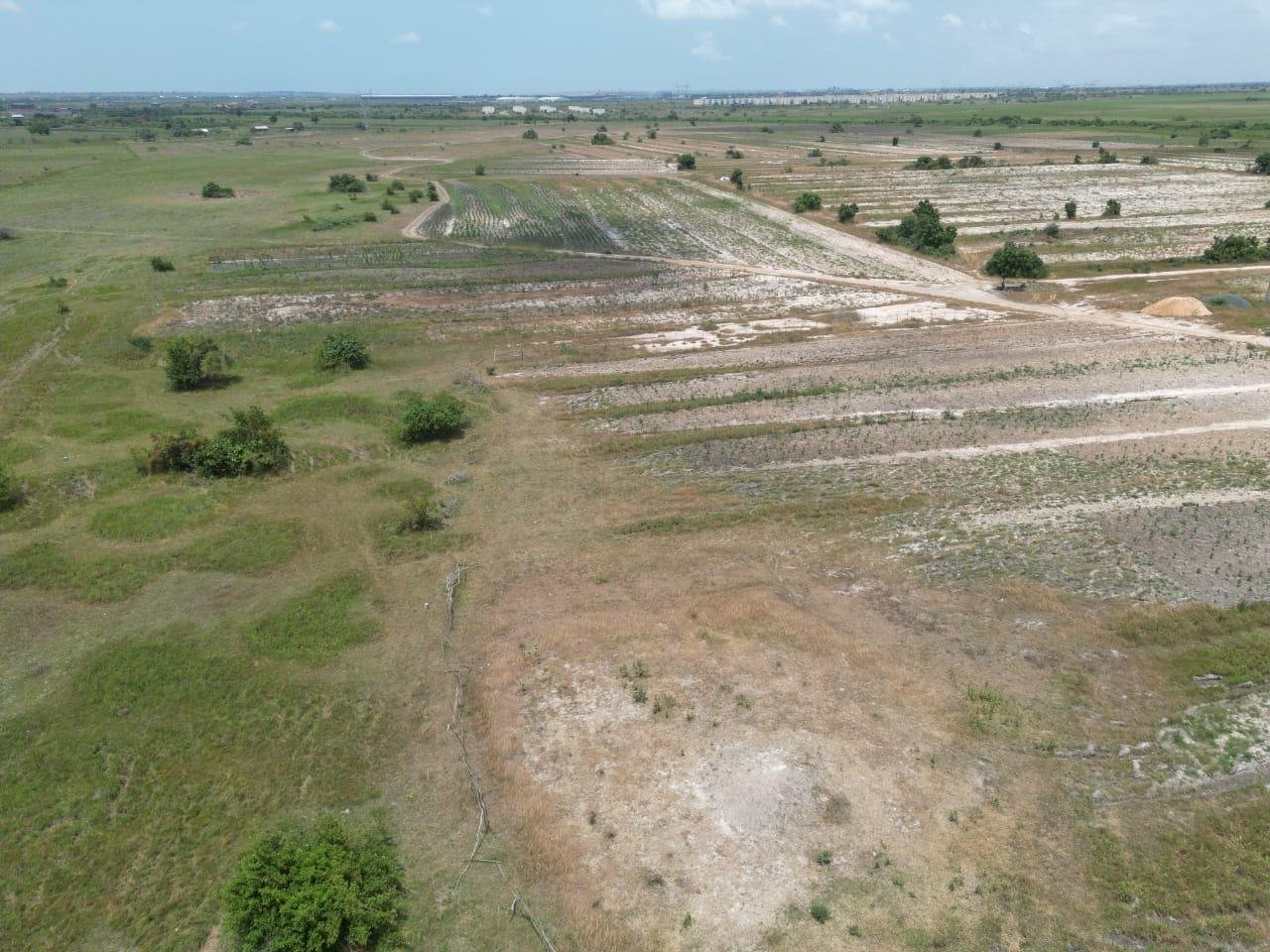 Plots of Lands Available for sale at Tsopoli